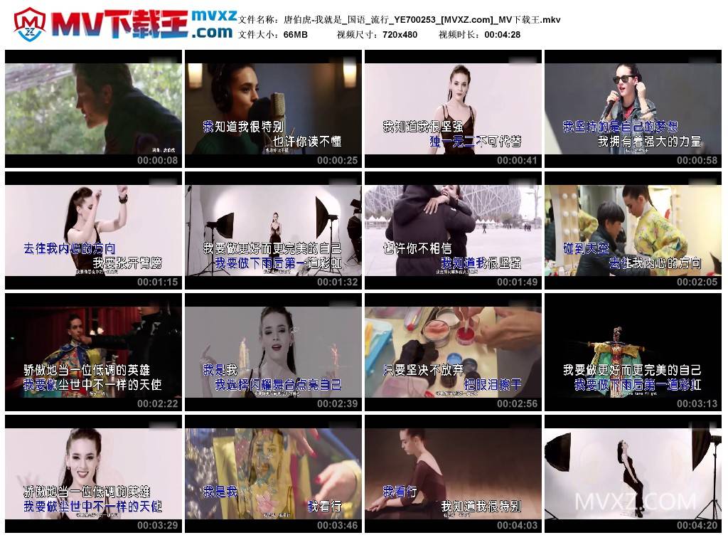 唐伯虎-我就是_国语_流行_YE700253